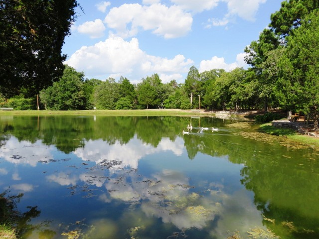 main property photo 37