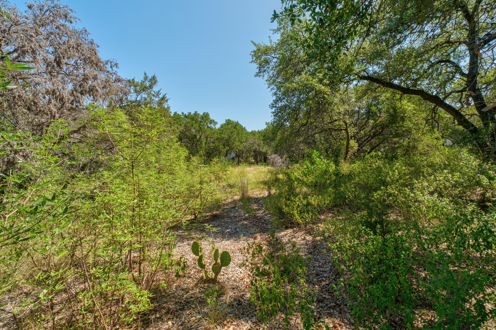 main property photo 11
