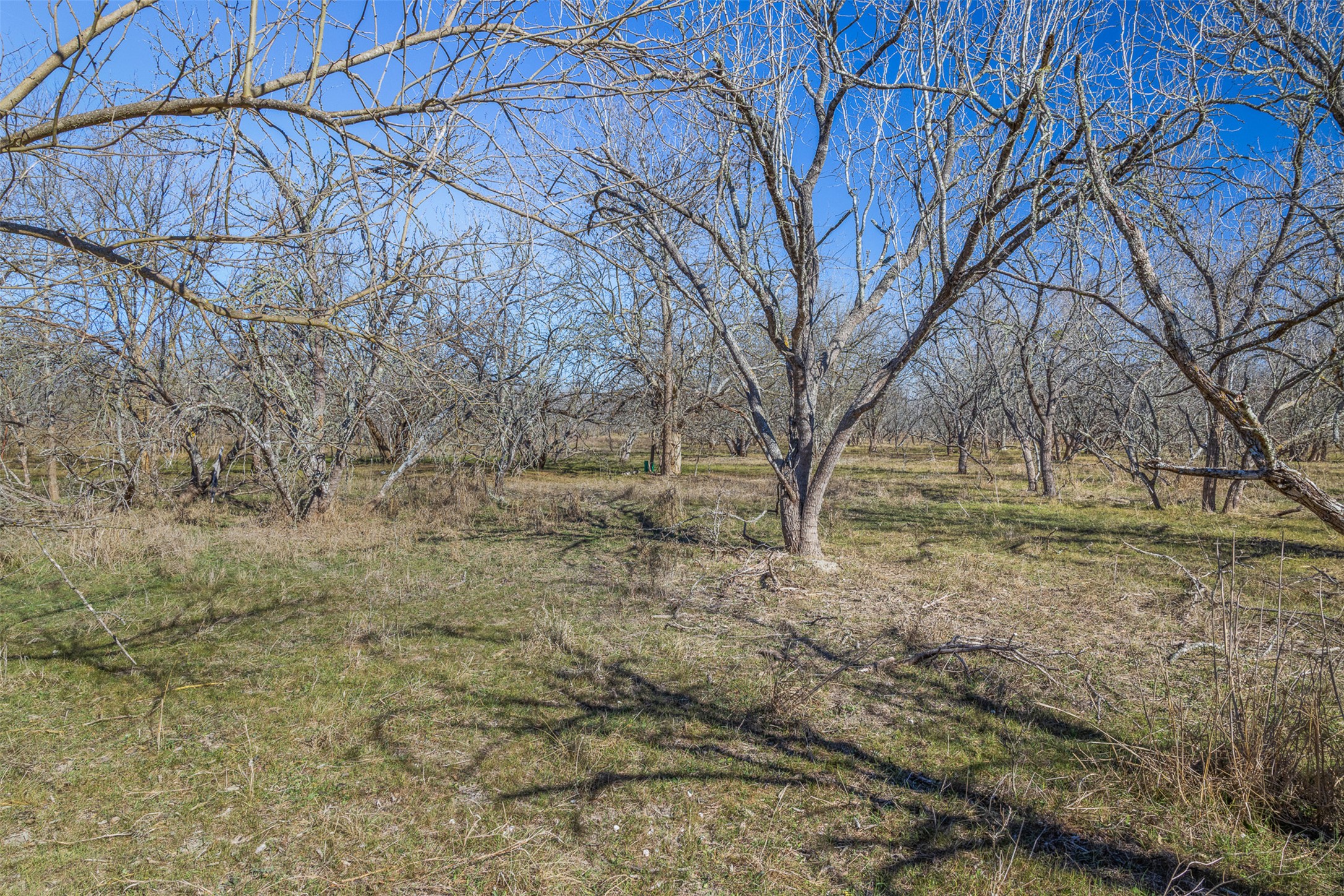 main property photo 36