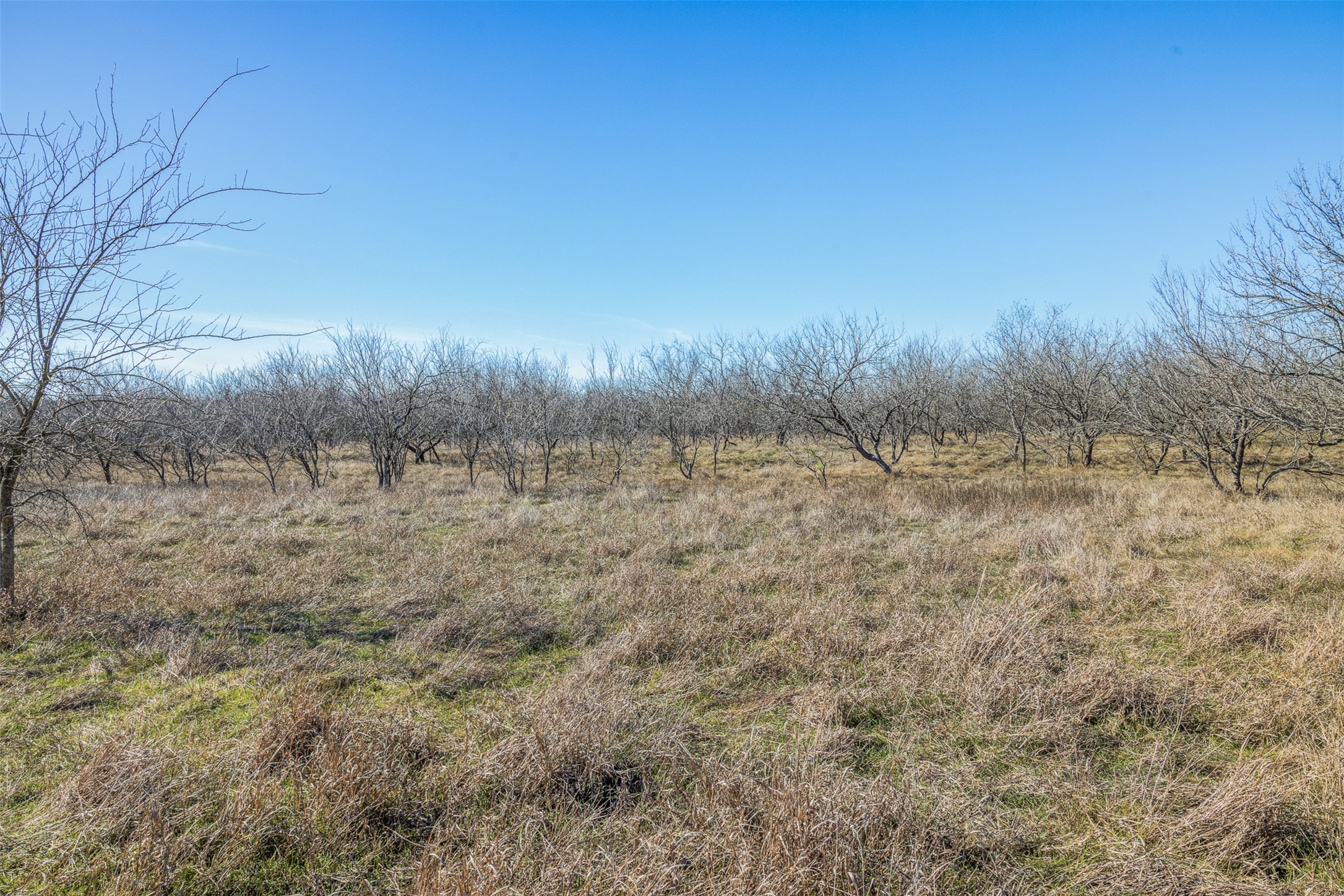 main property photo 37