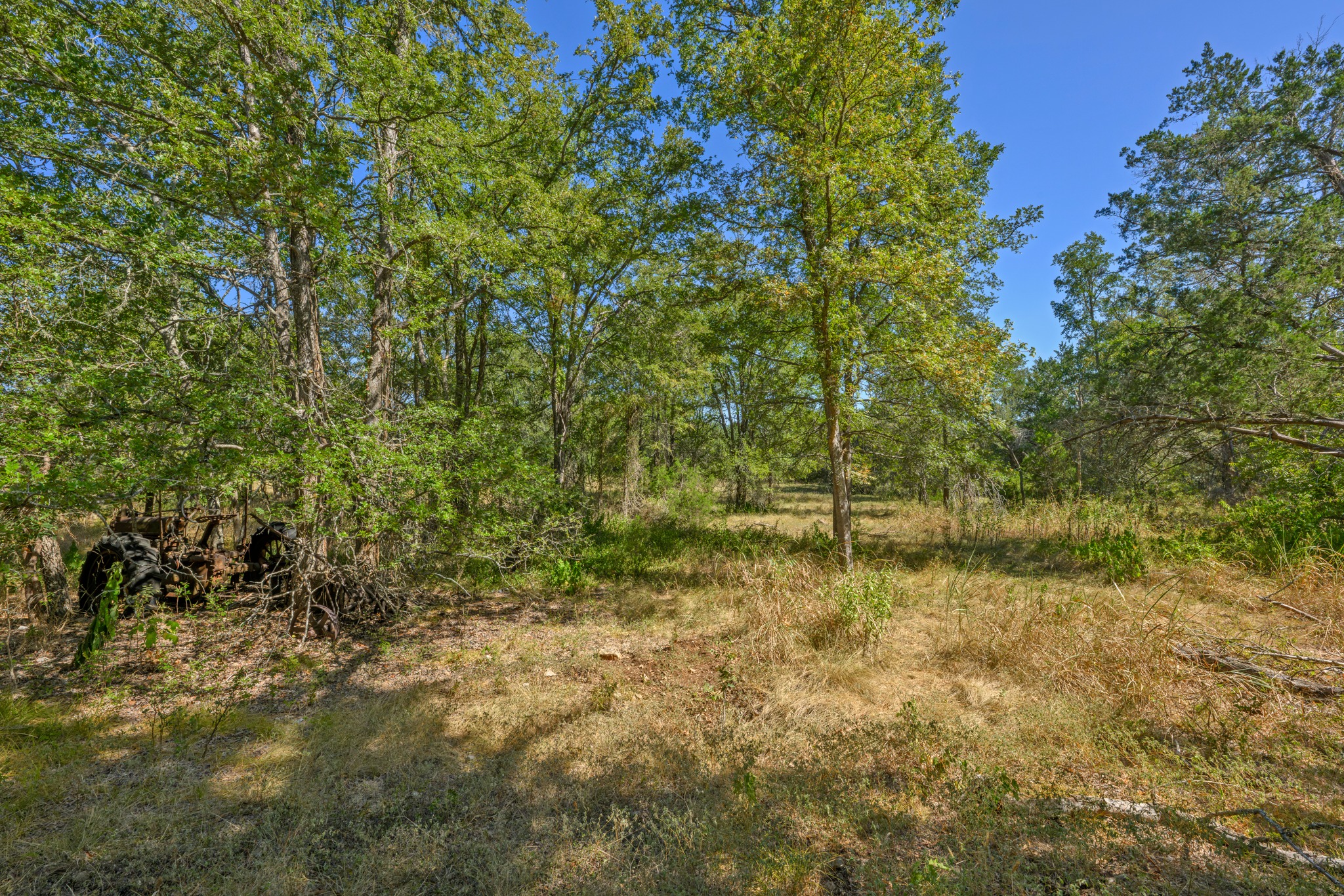 main property photo 32