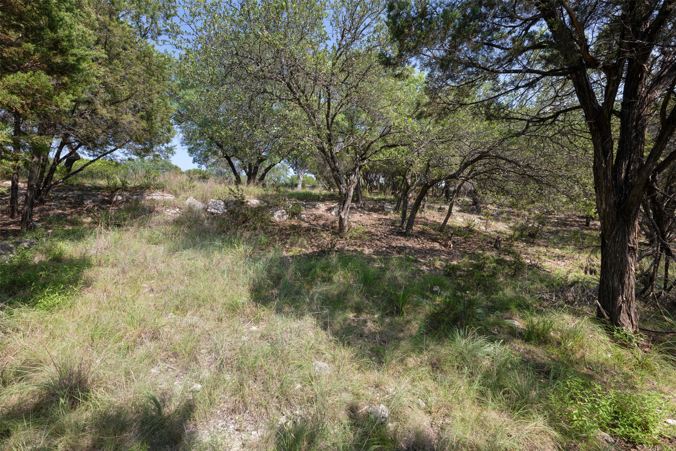 main property photo 23
