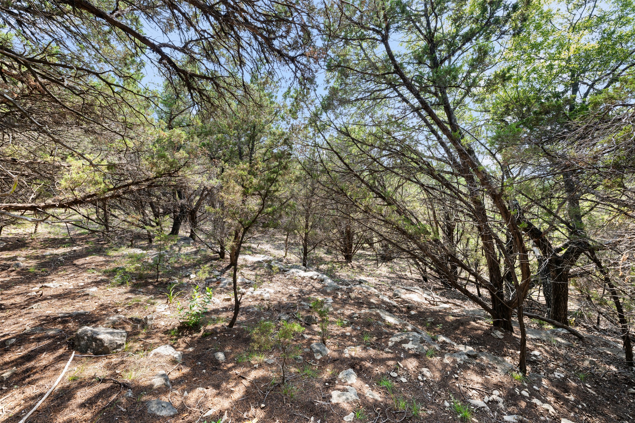 main property photo 25