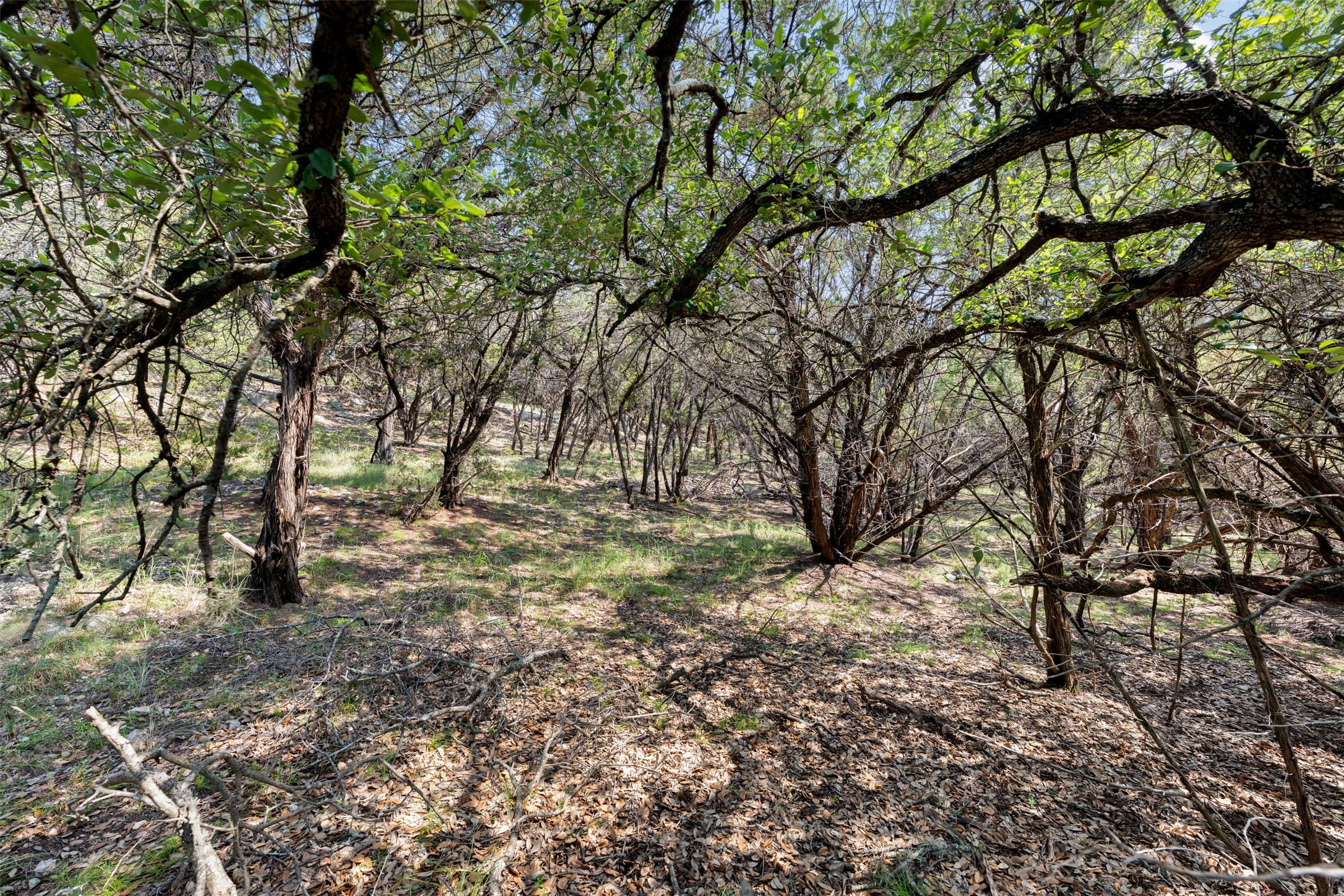 main property photo 27