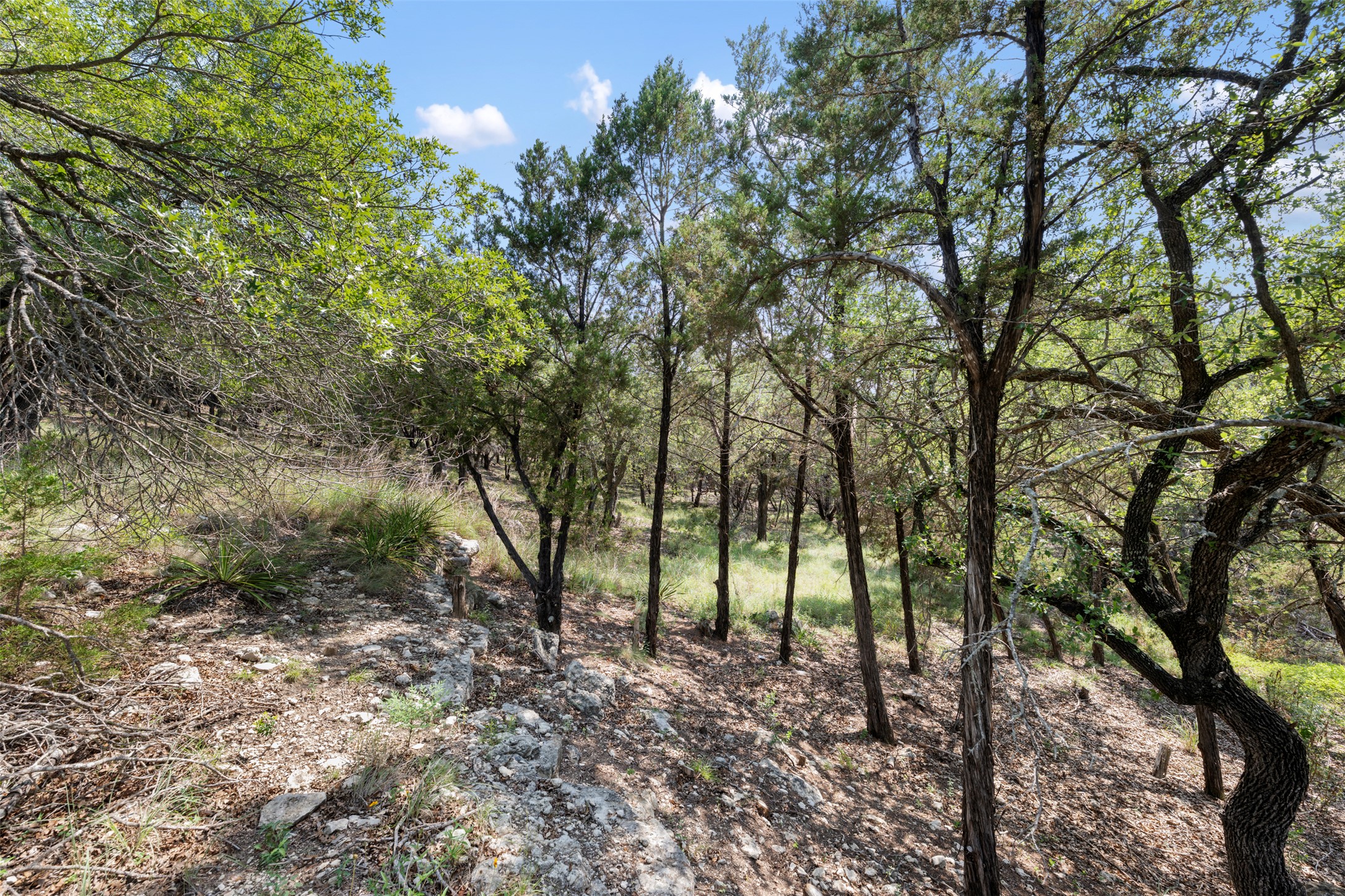main property photo 29