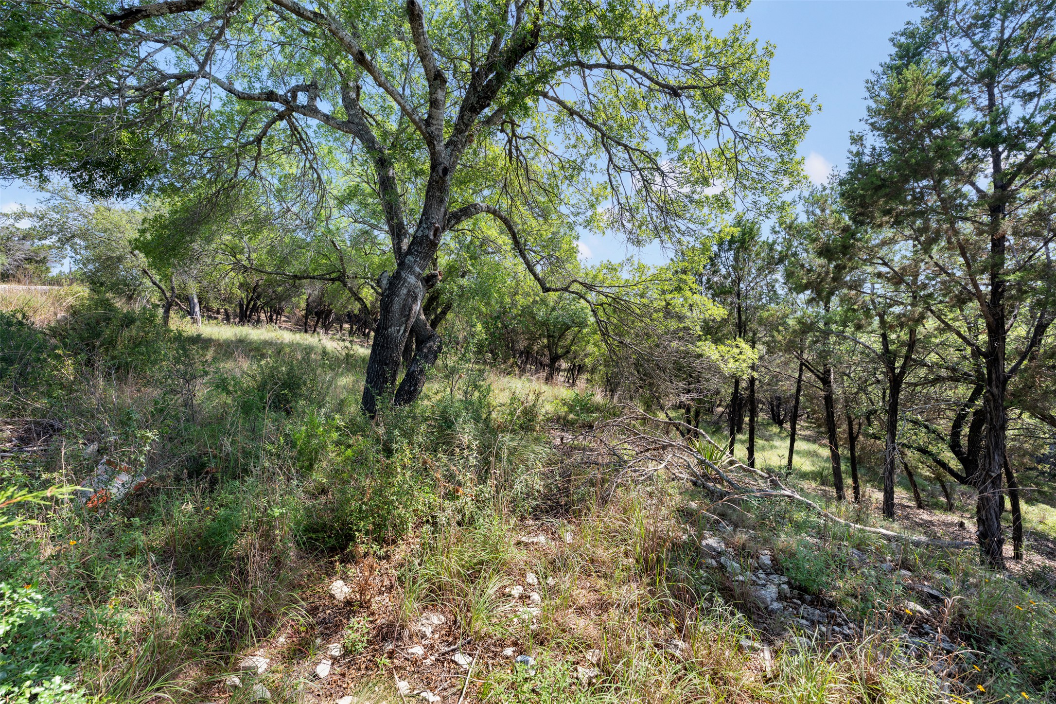 main property photo 30