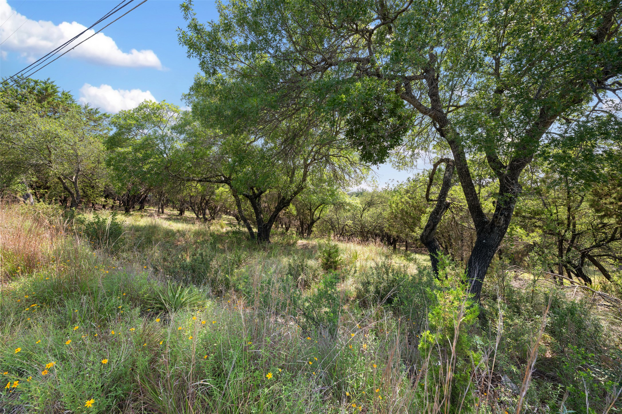 main property photo 31