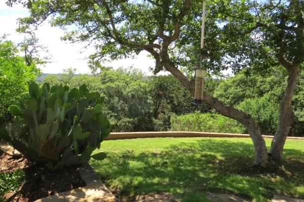 main property photo 32