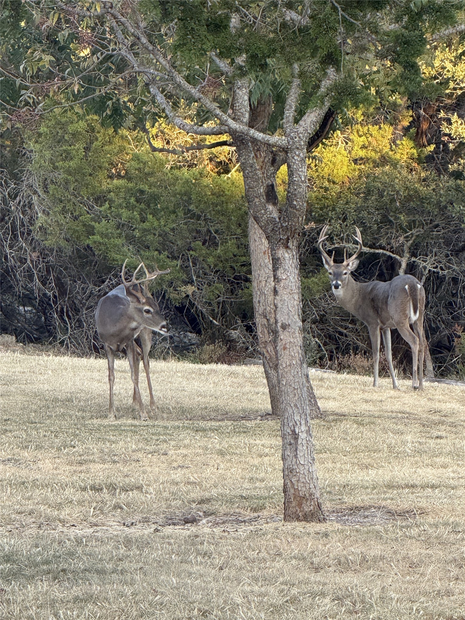 main property photo 38