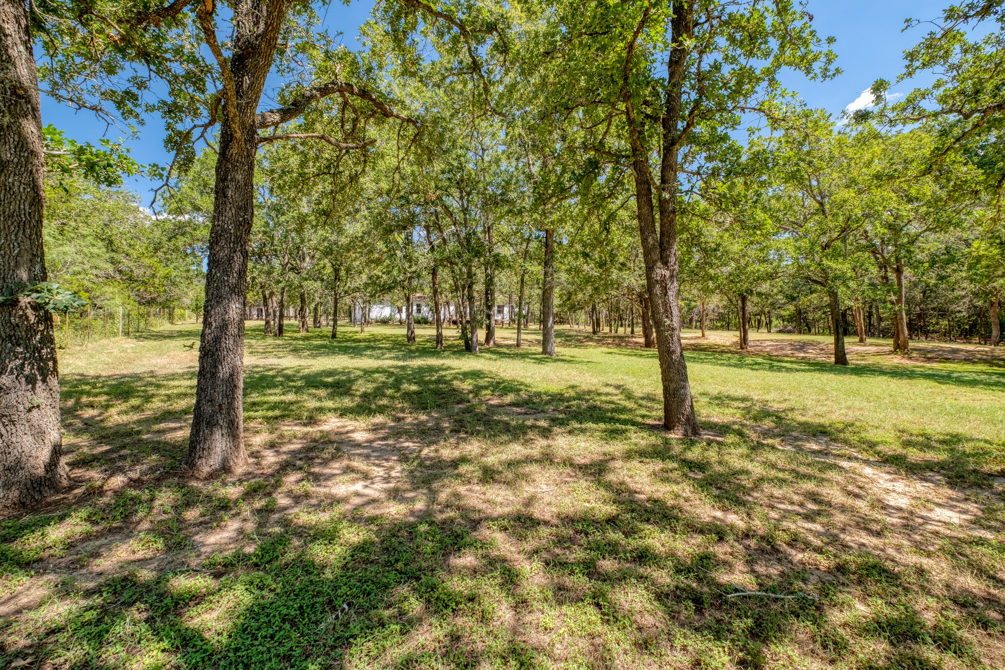 main property photo 32