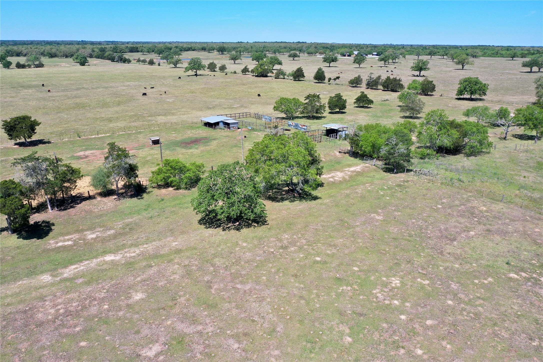 main property photo 26