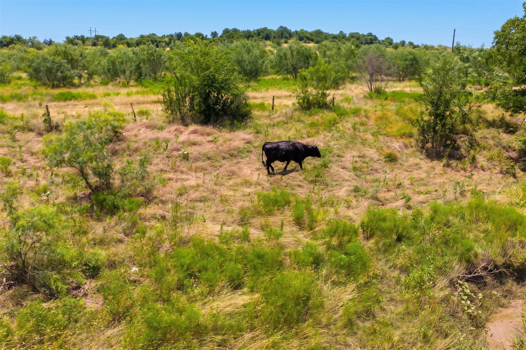 main property photo 6