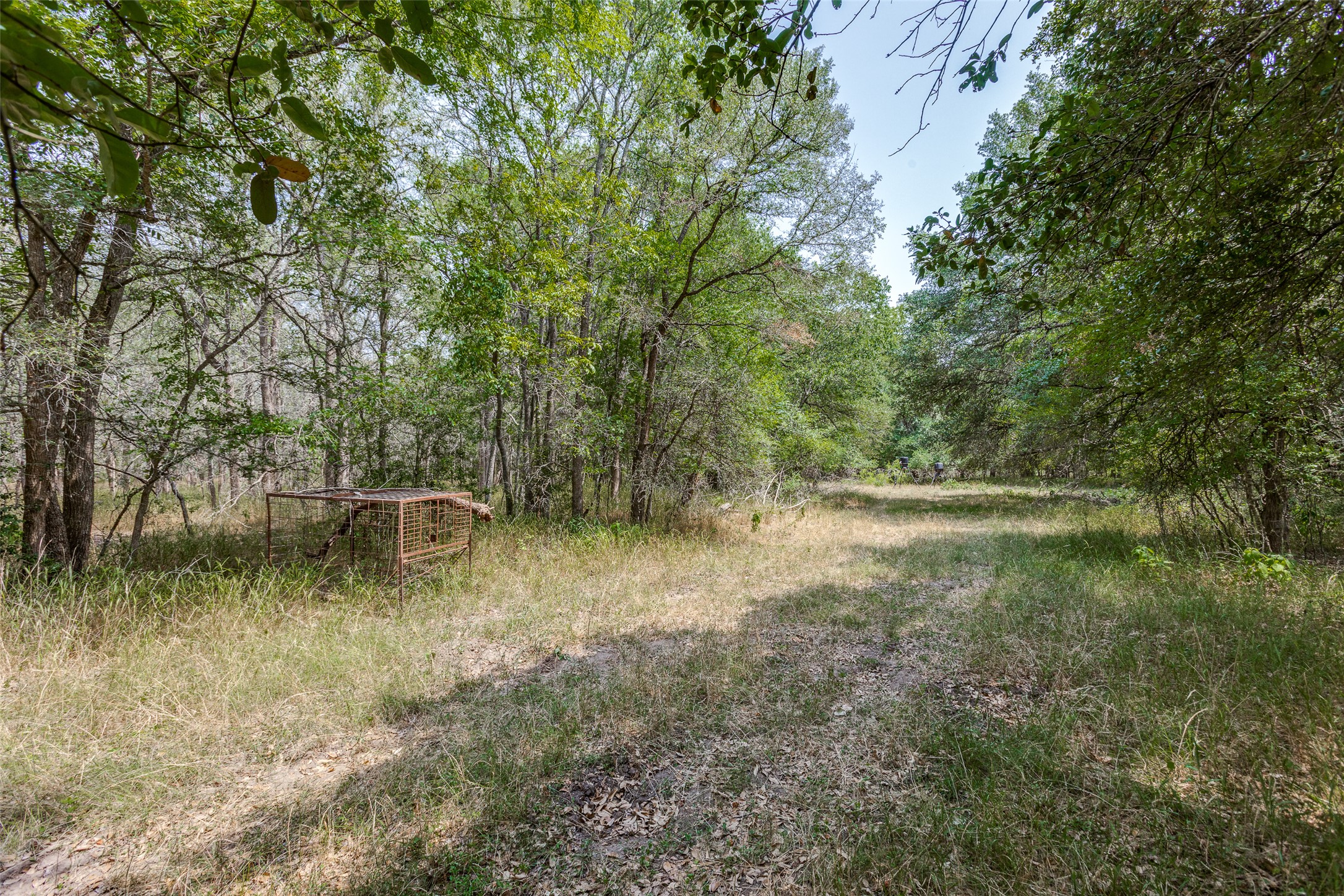 main property photo 11