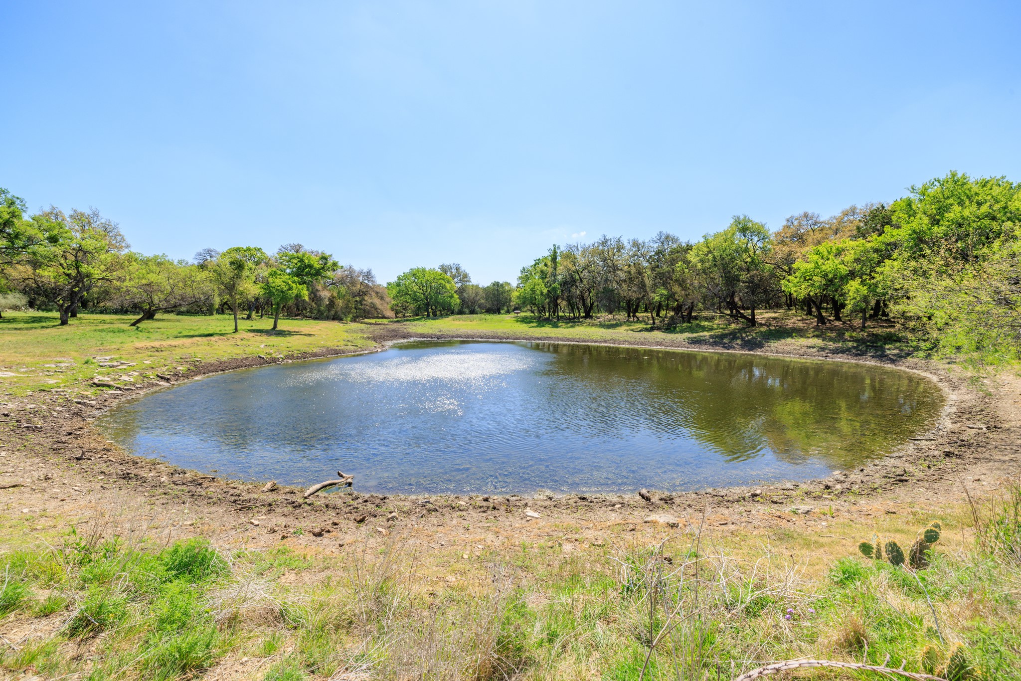 main property photo 39