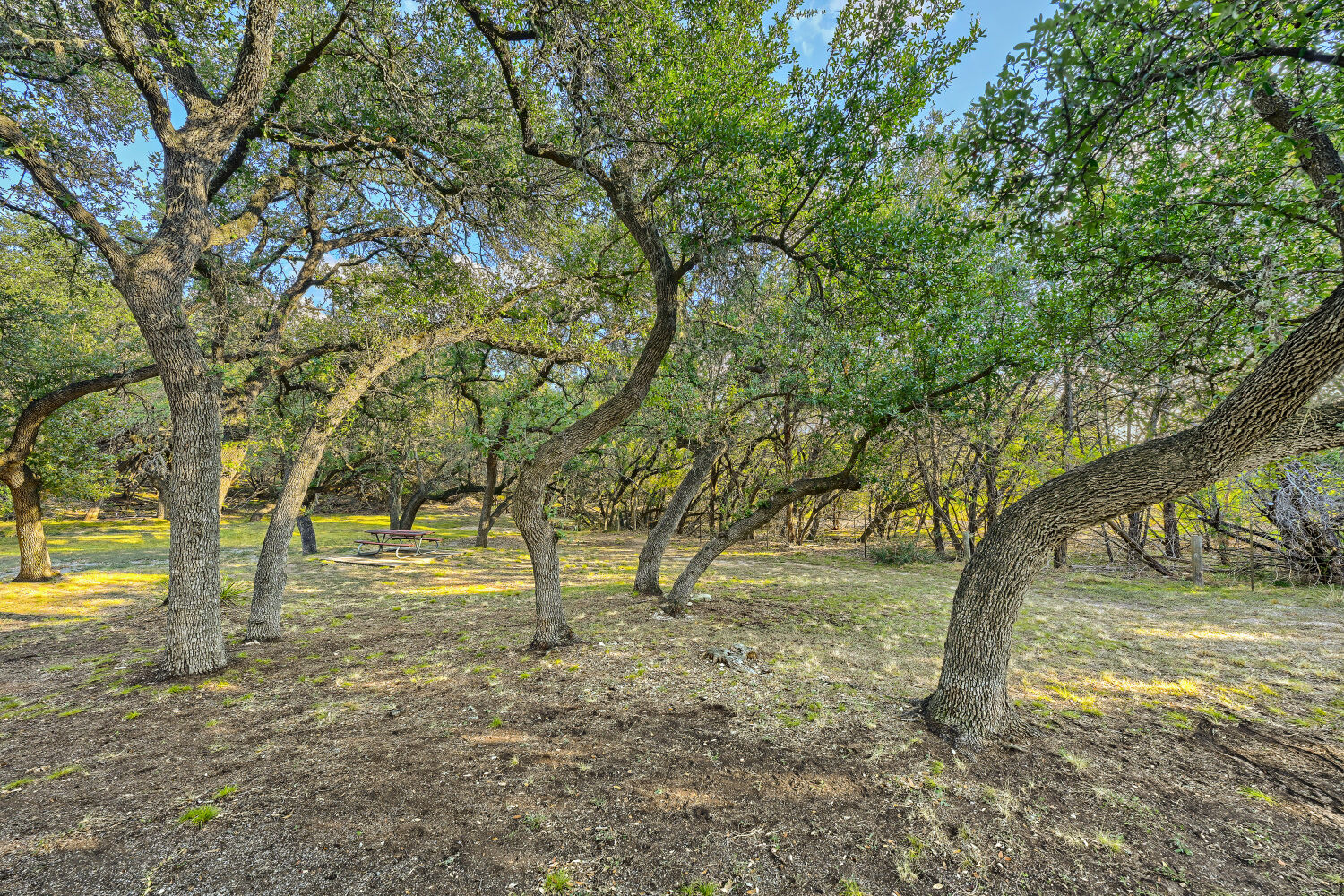 main property photo 26