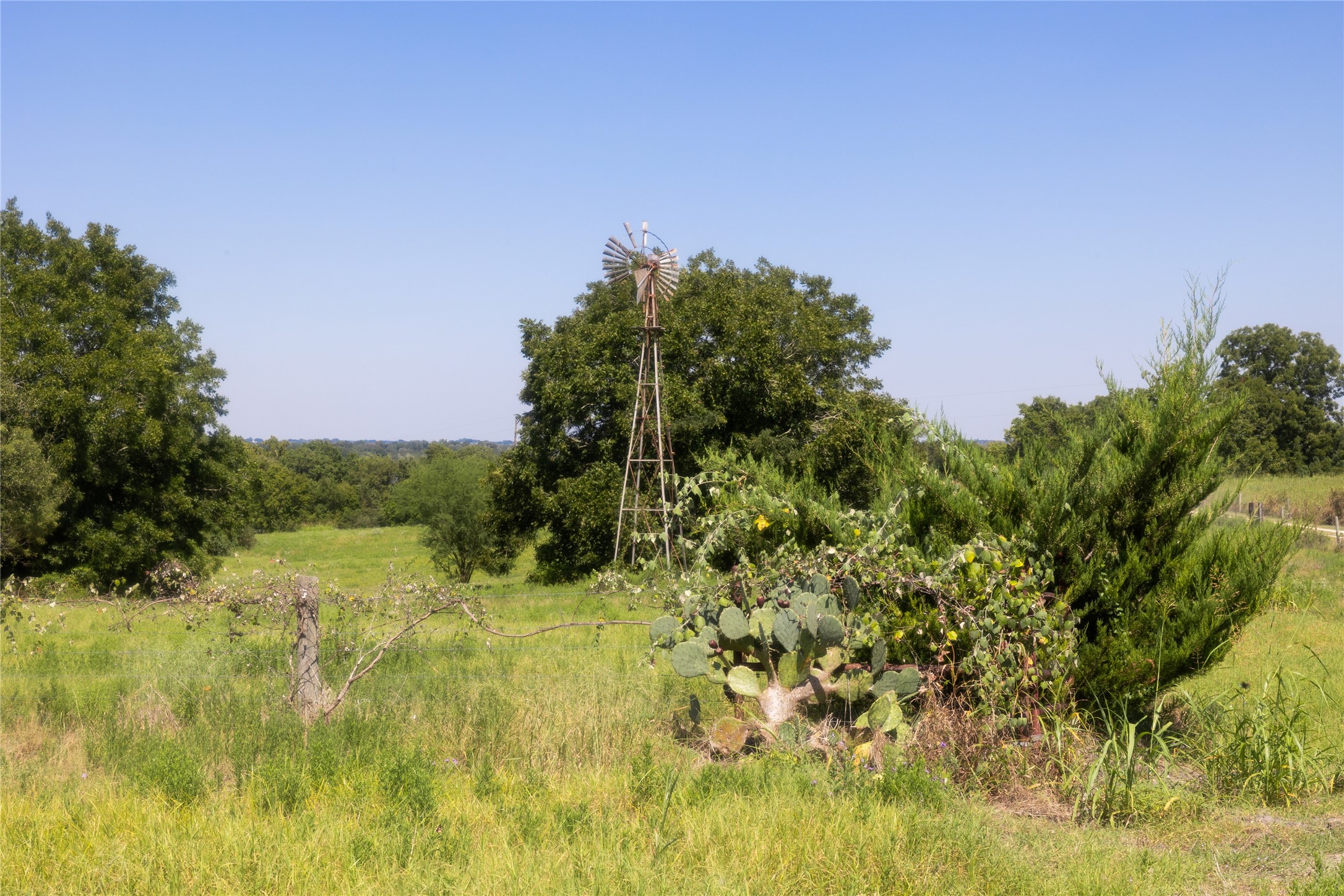 main property photo 8