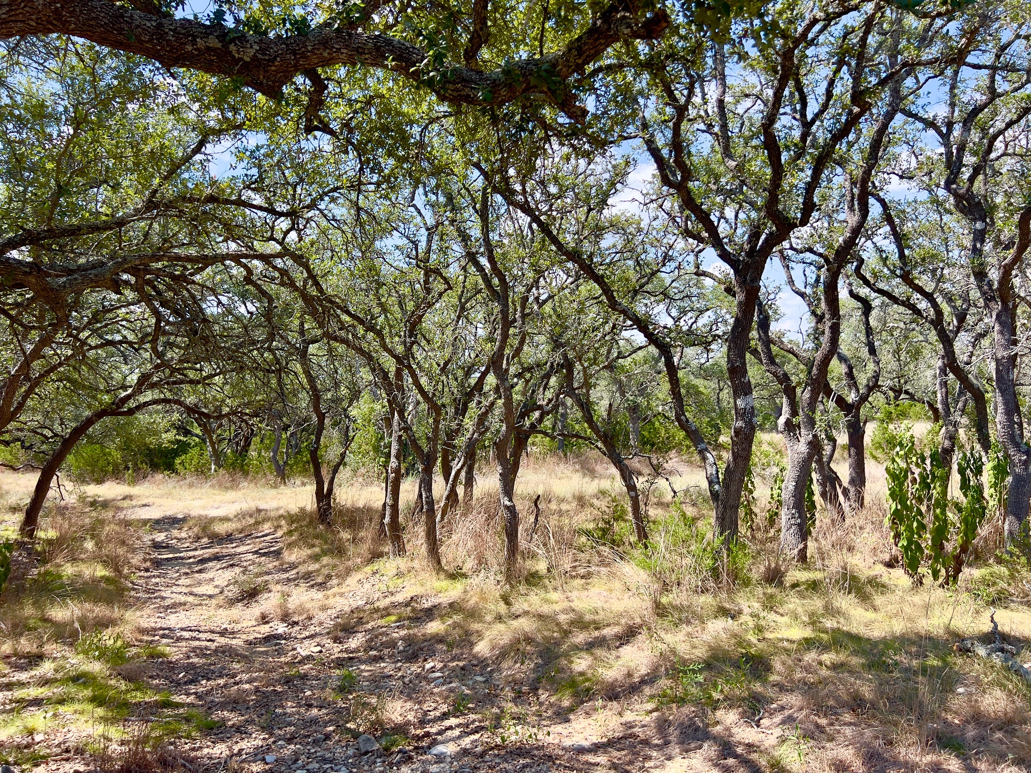 main property photo 9