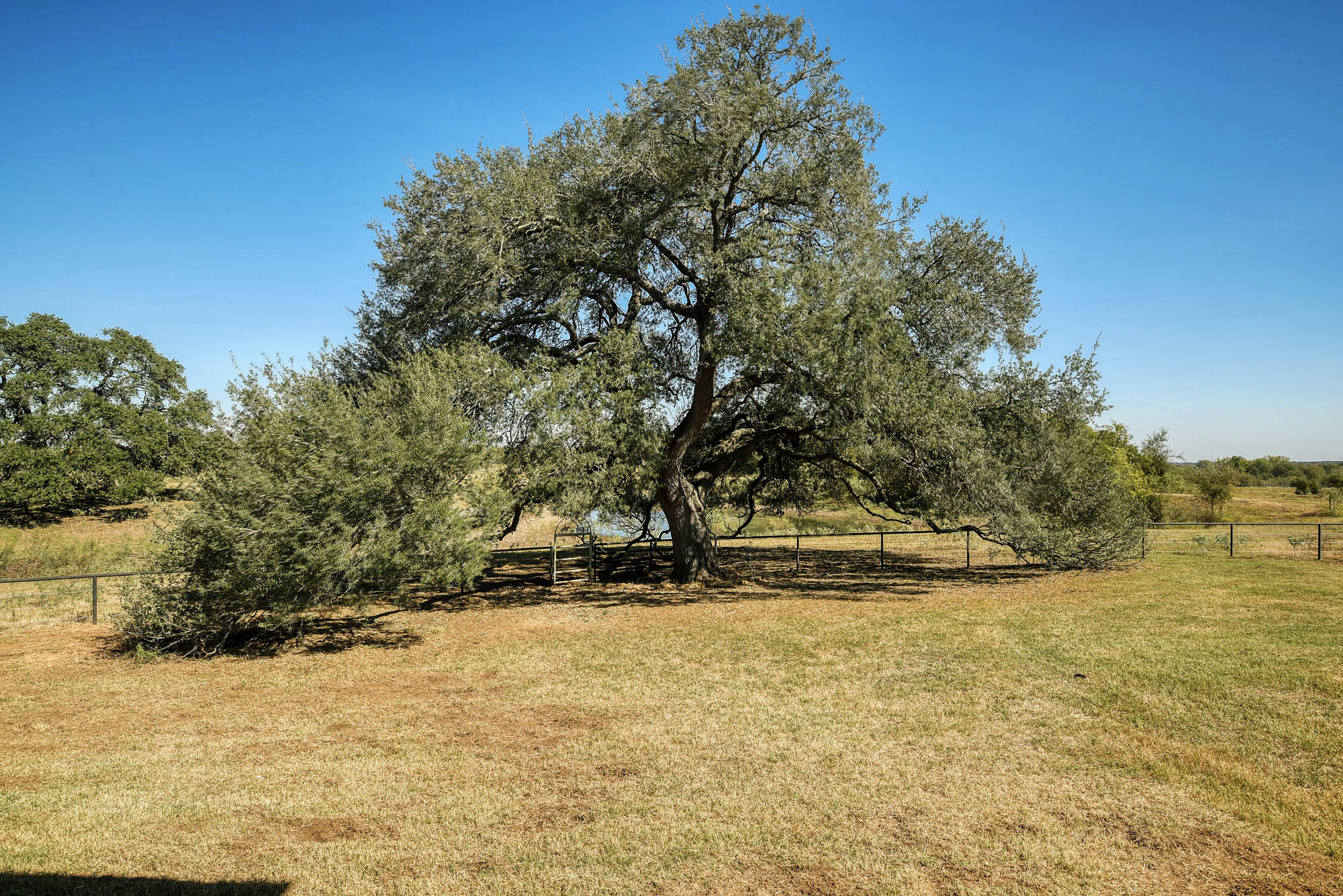 main property photo 30