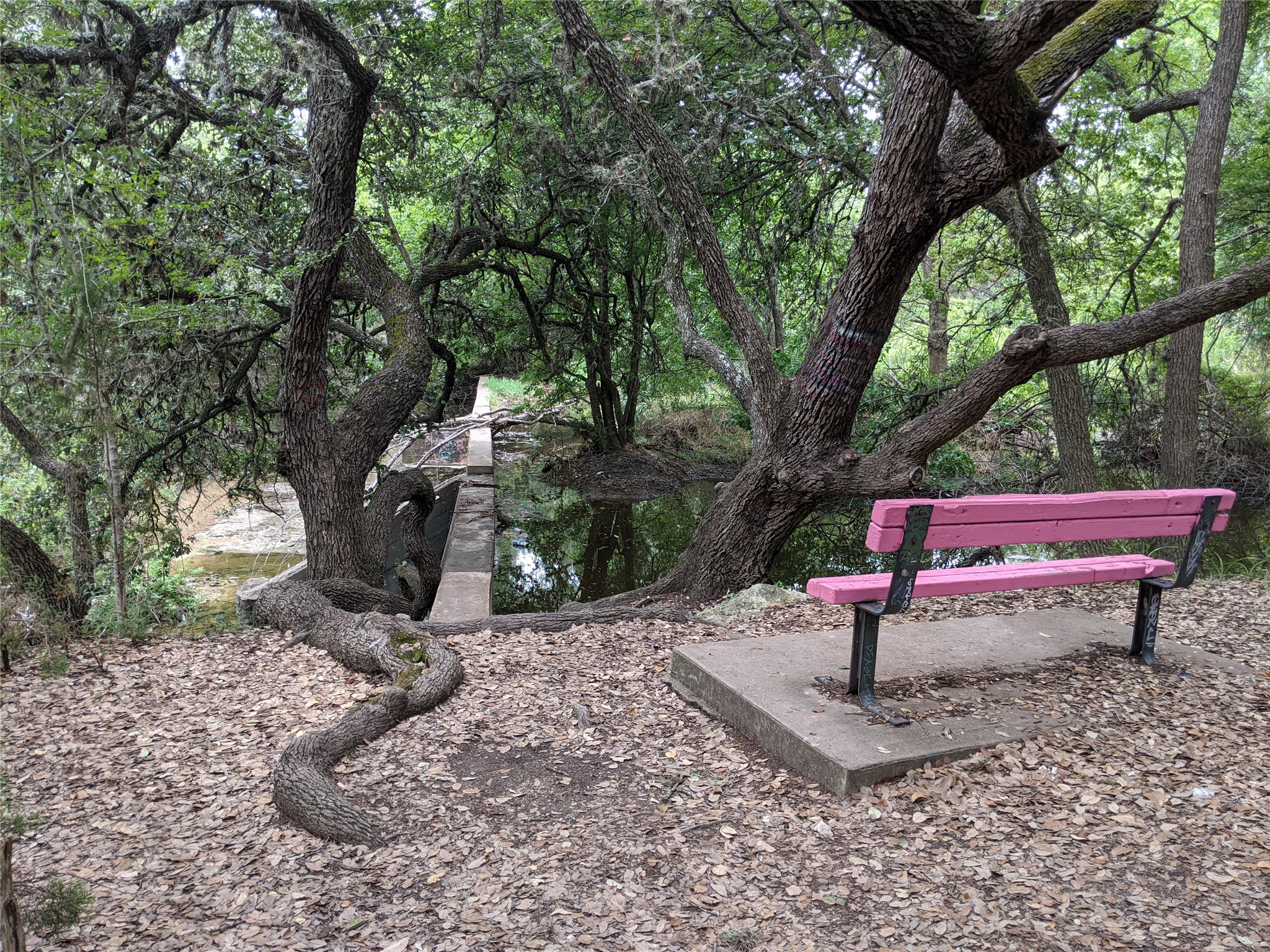 main property photo 37