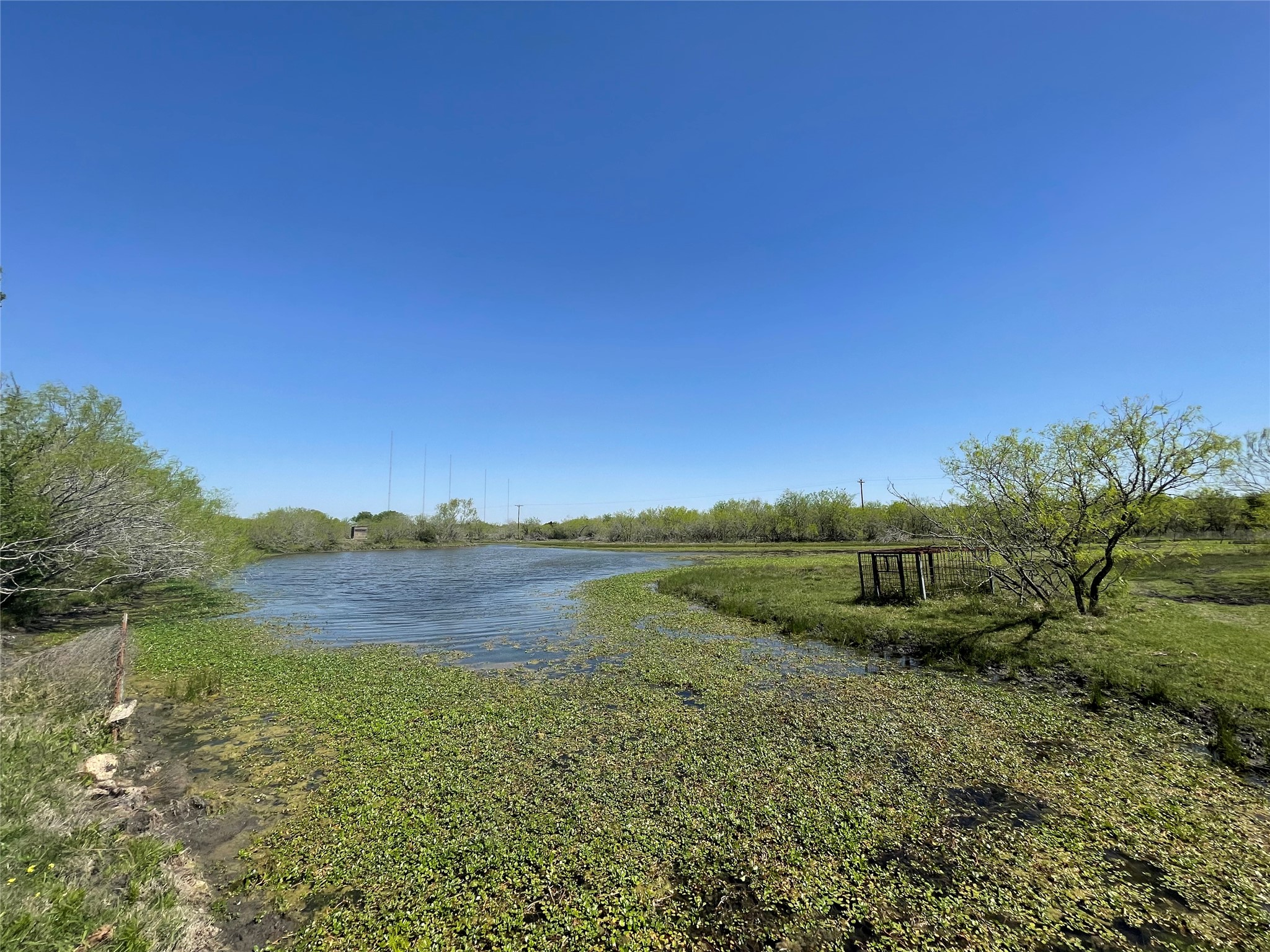 main property photo 13