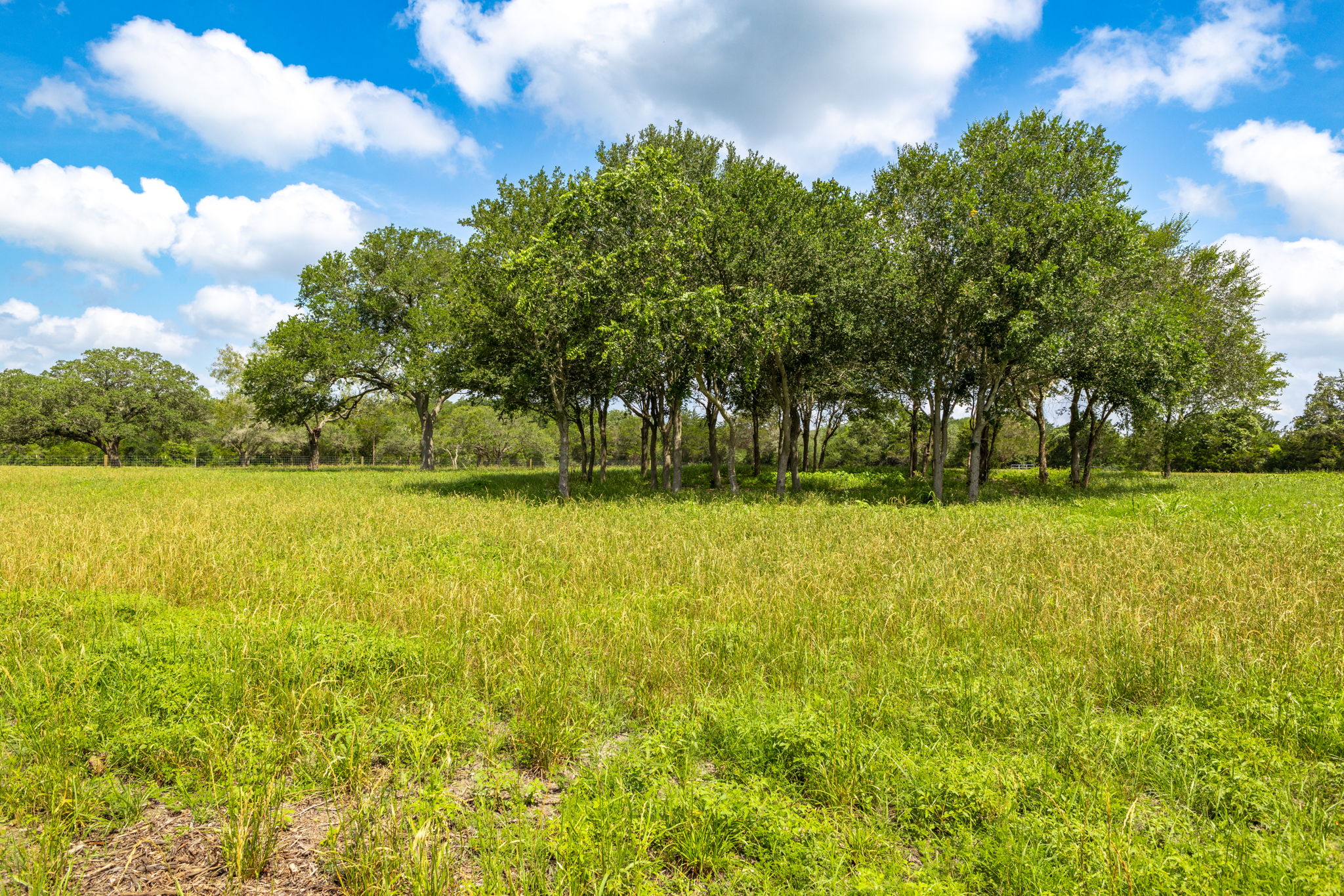 main property photo 11