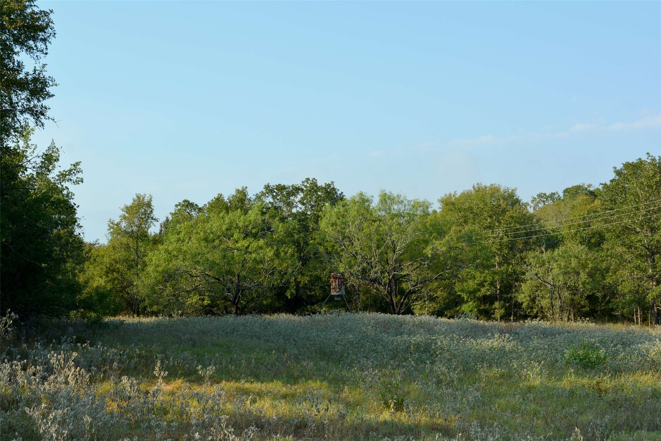 main property photo 10