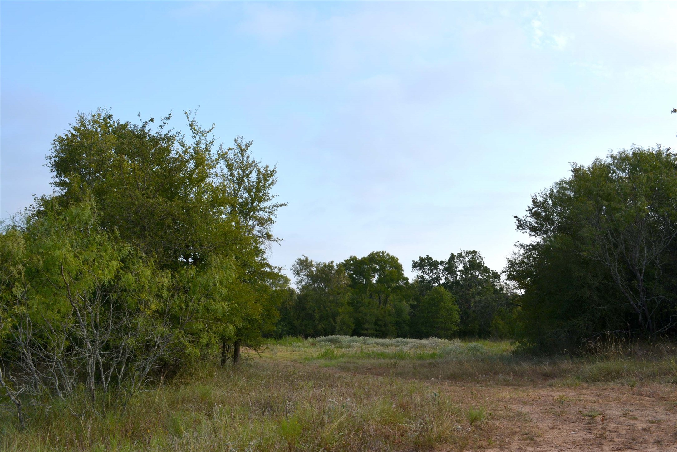 main property photo 9