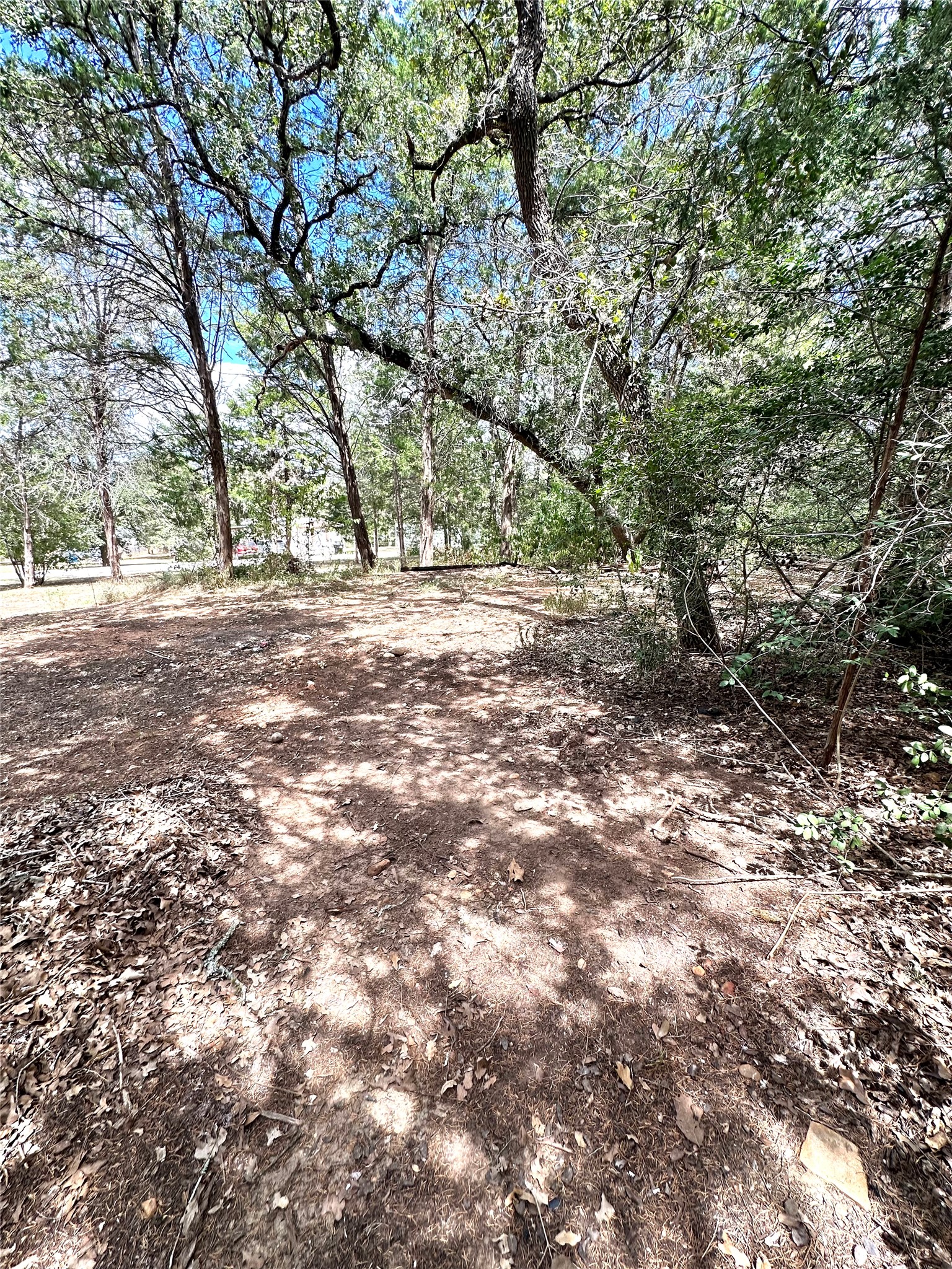 main property photo 29