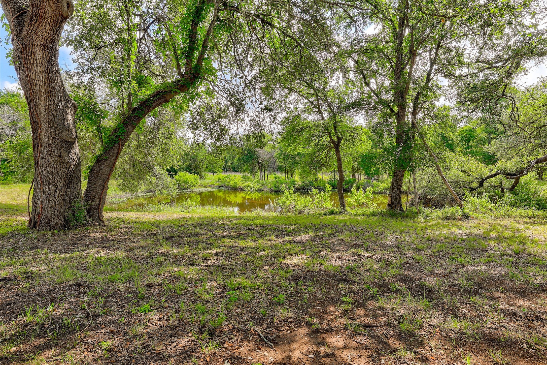 main property photo 38
