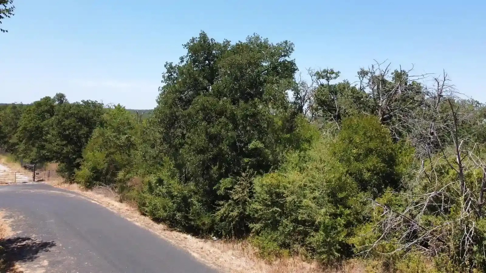 main property photo 4