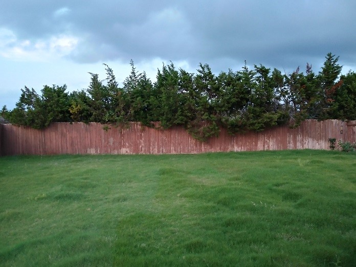 main property photo 23