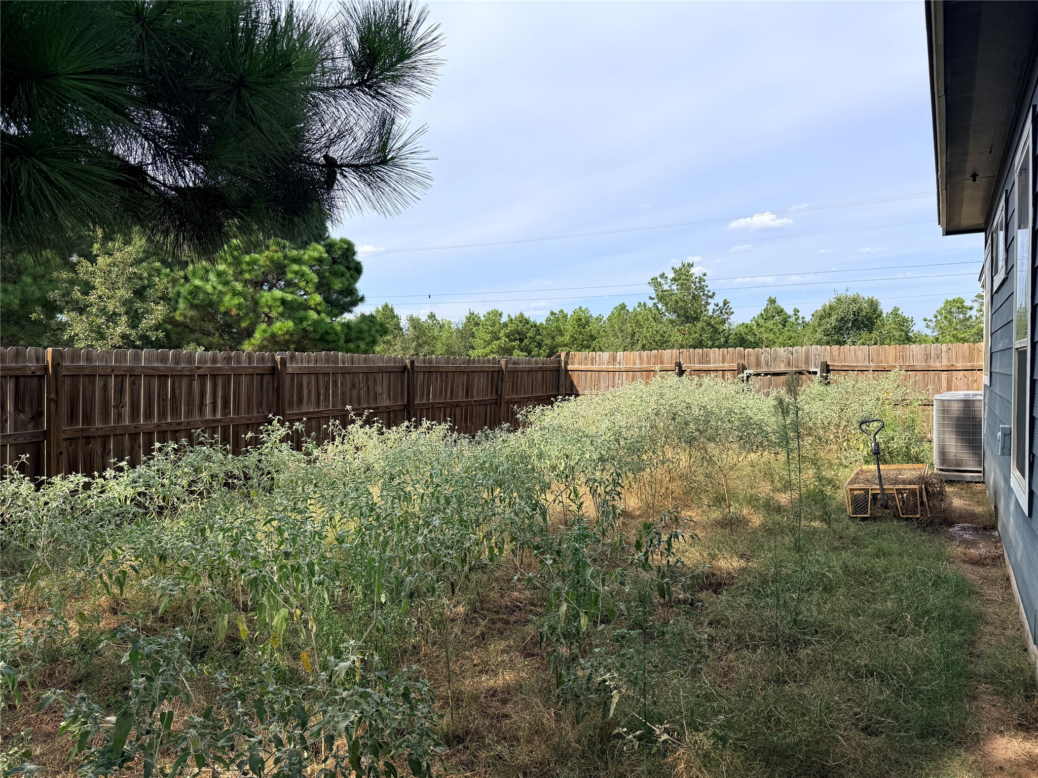 main property photo 32