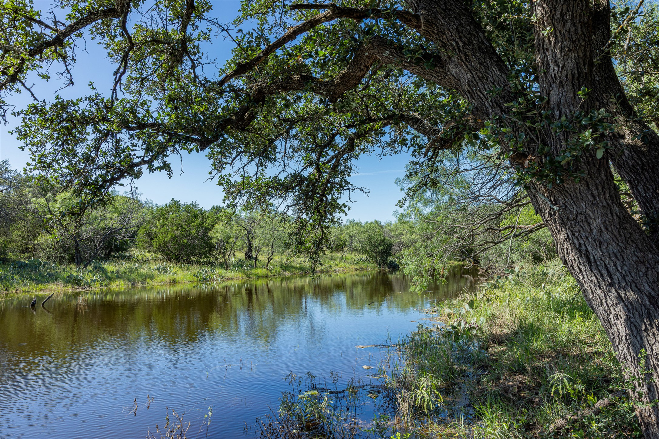 main property photo 25