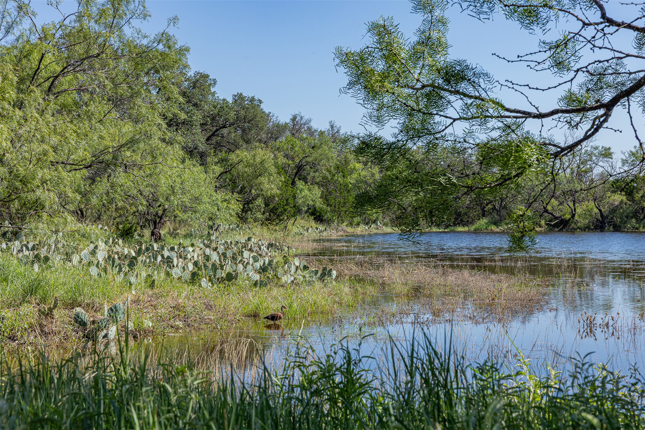 main property photo 31