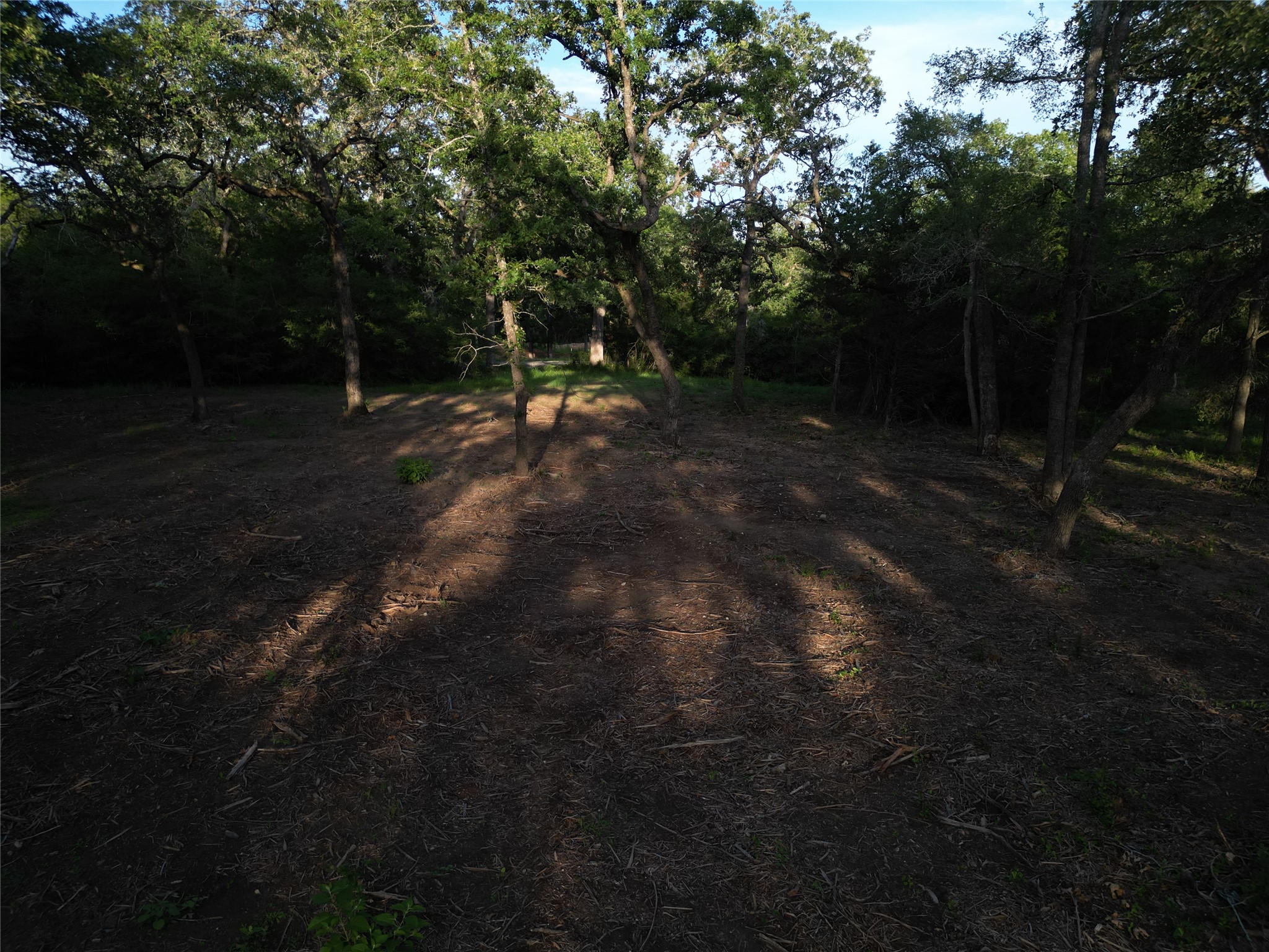 main property photo 7