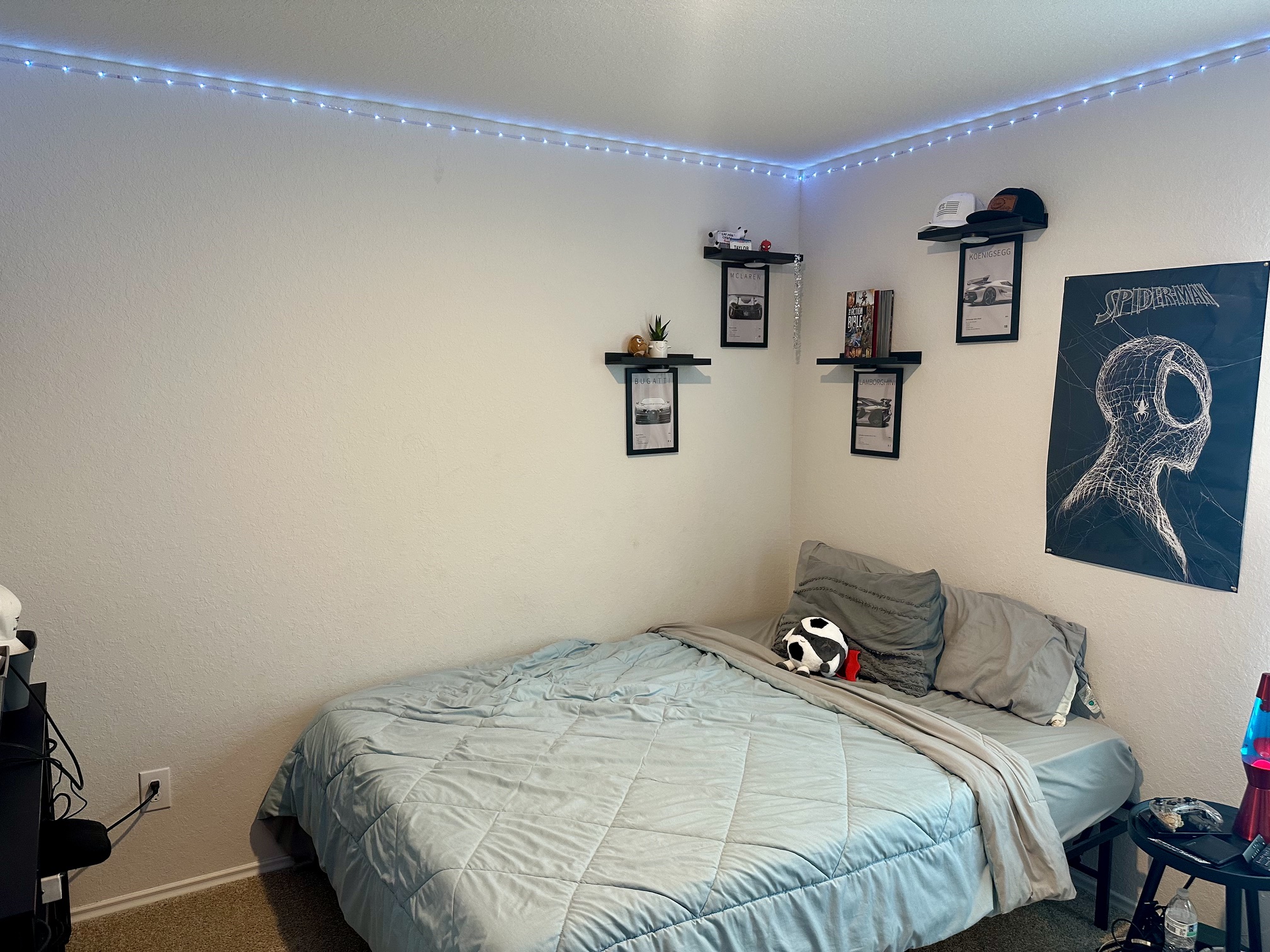 main property photo 25