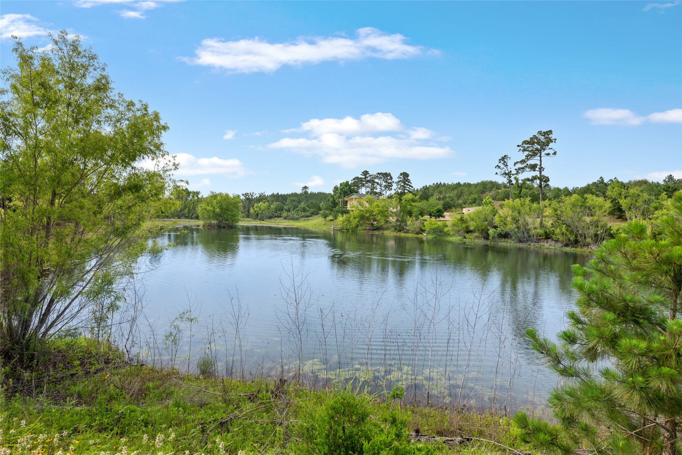 main property photo 37
