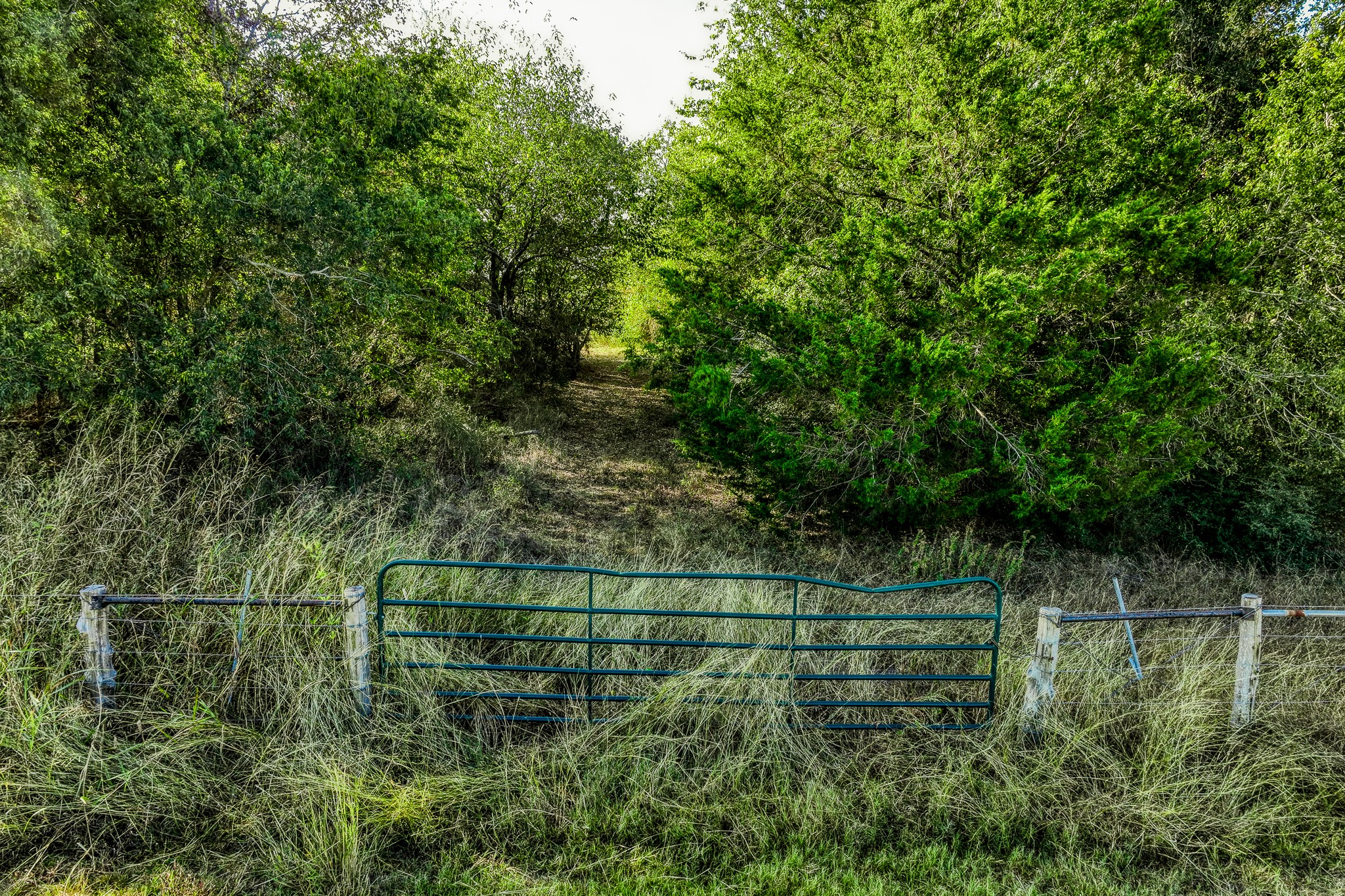 main property photo 17