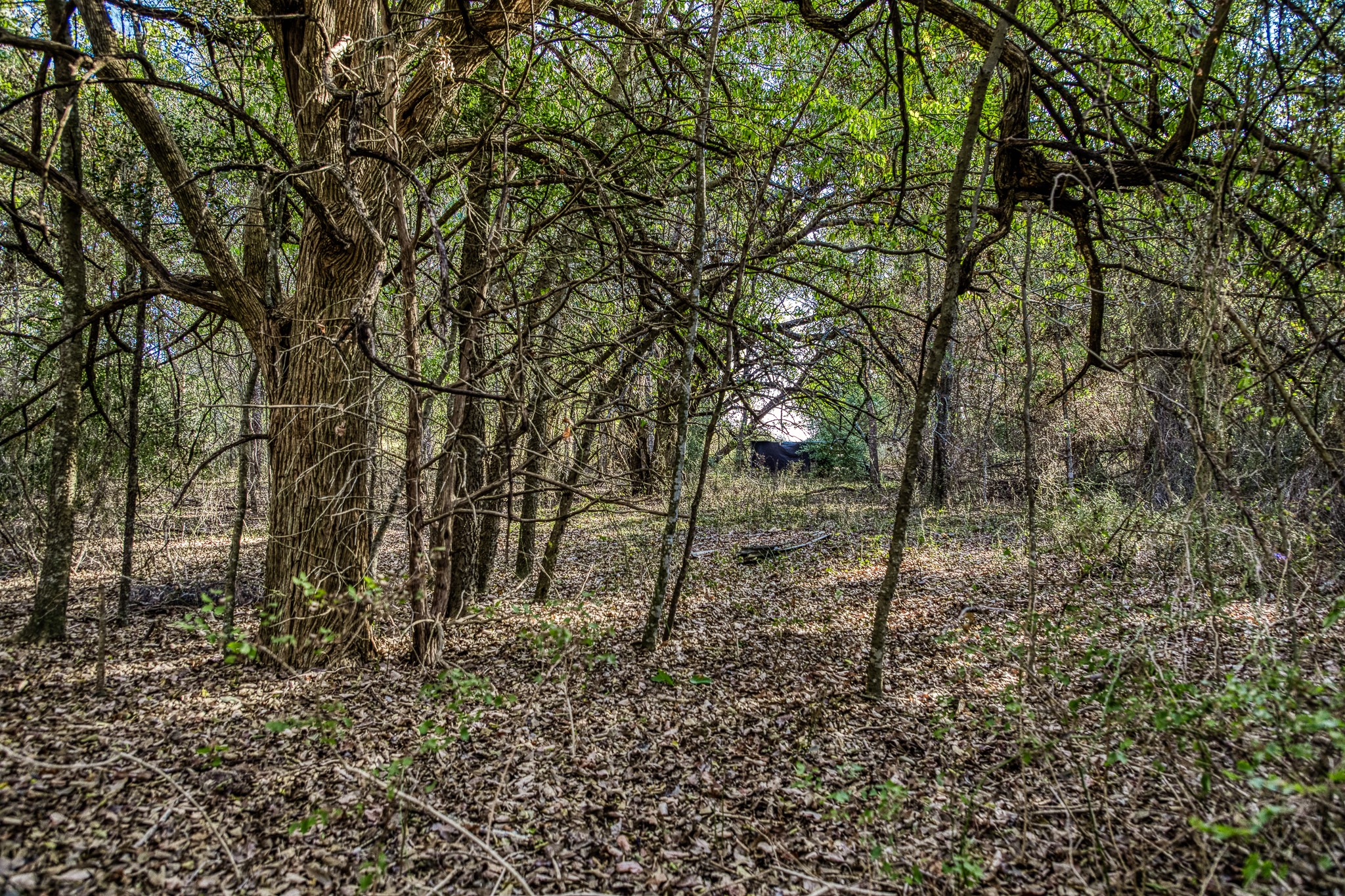 main property photo 18