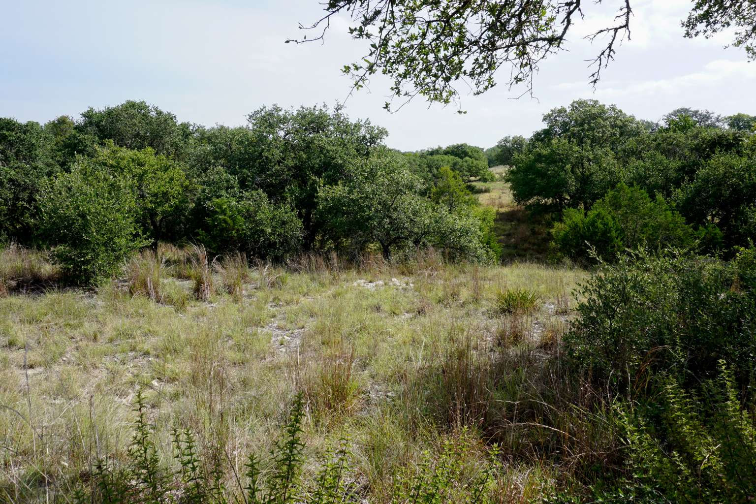 main property photo 13