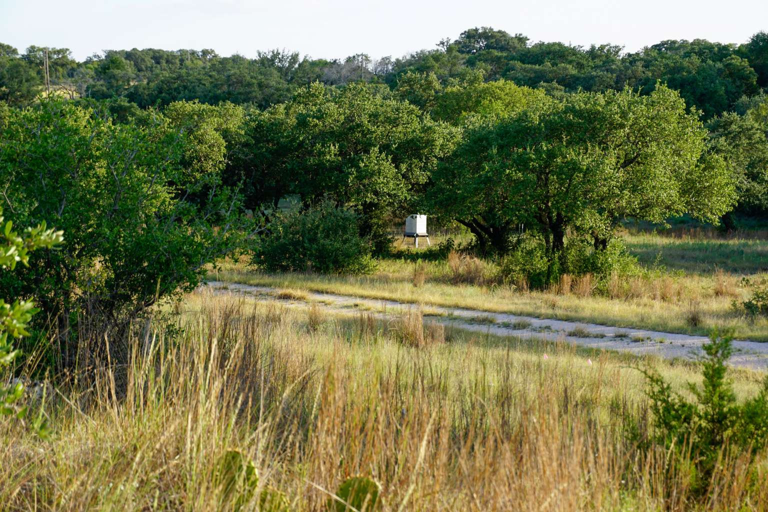 main property photo 9