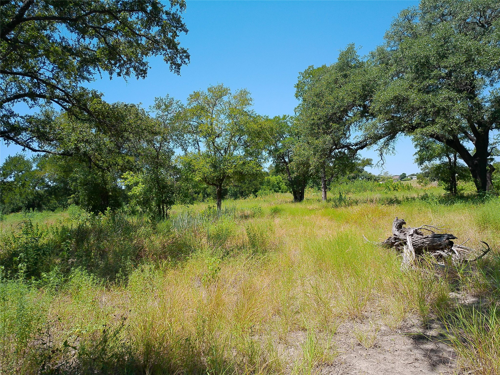 main property photo 13