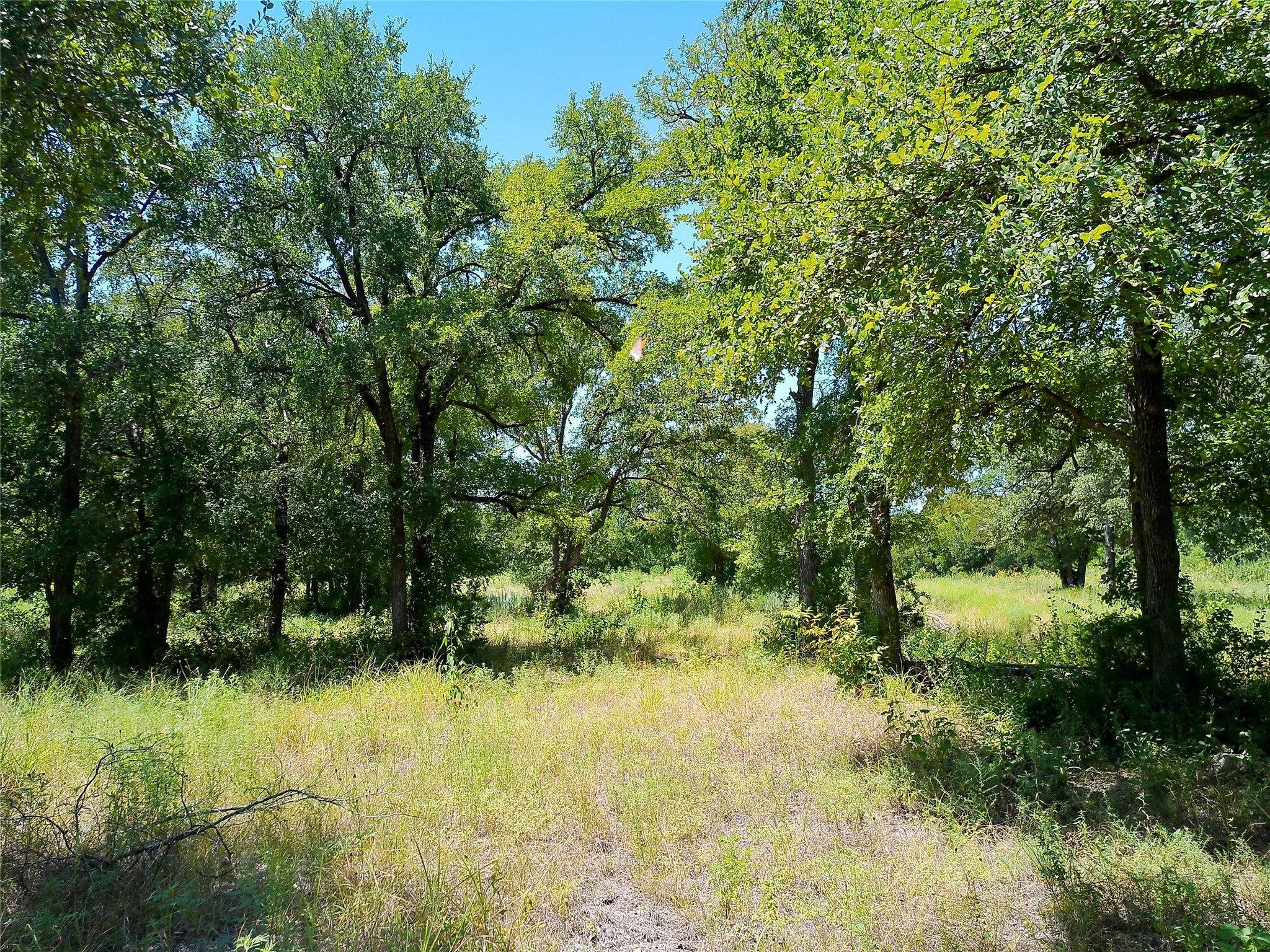 main property photo 17