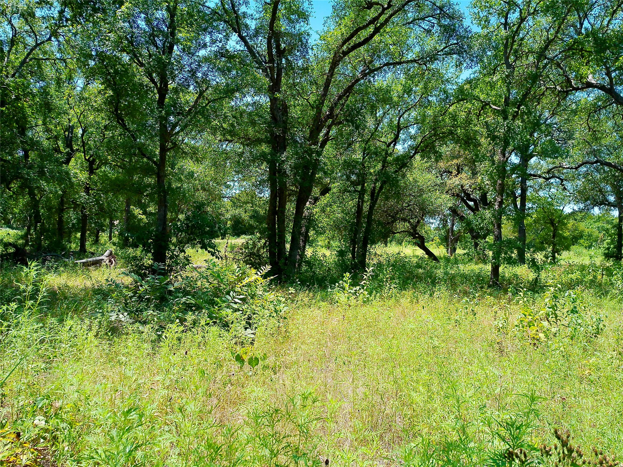 main property photo 18