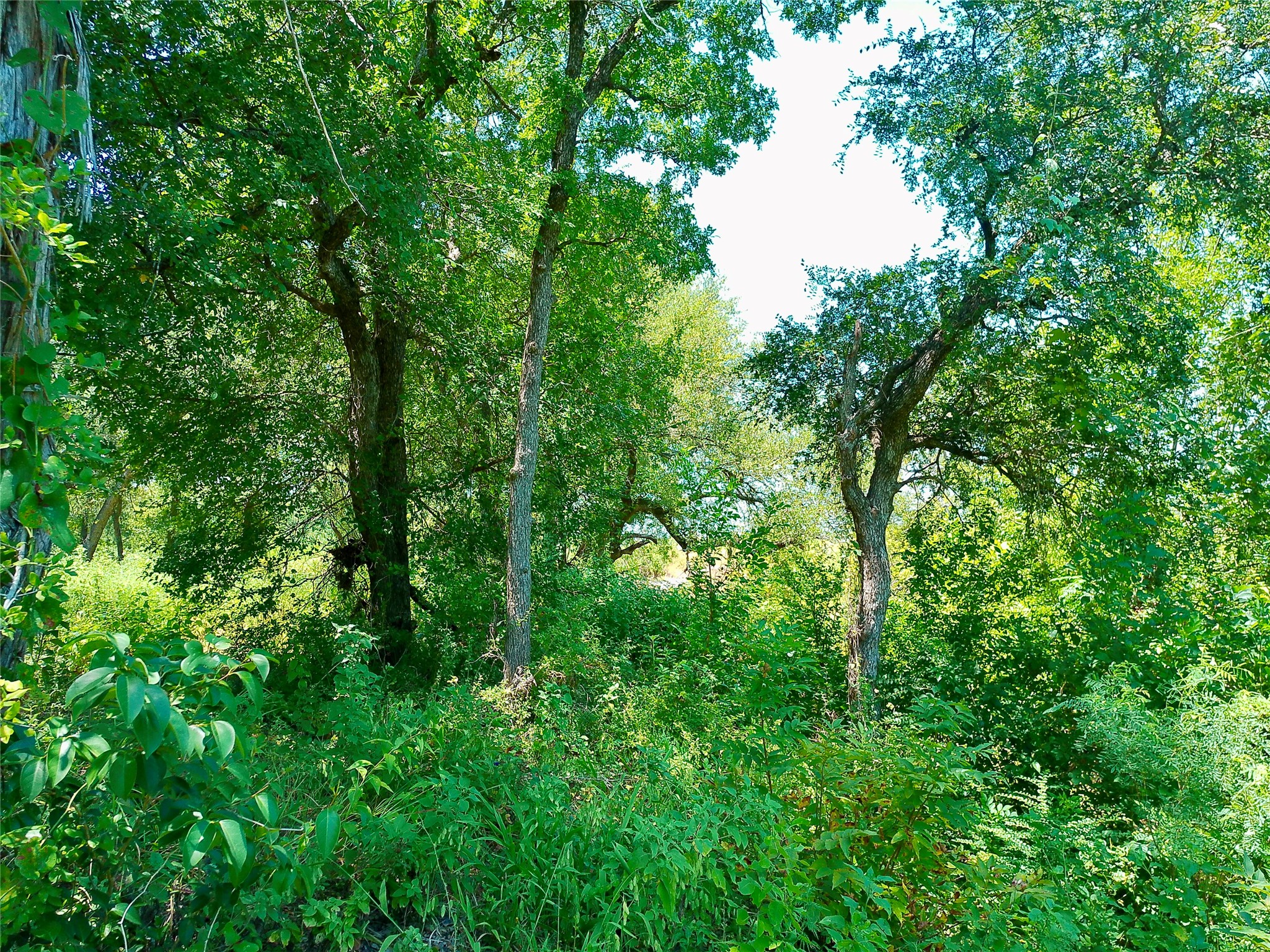 main property photo 26
