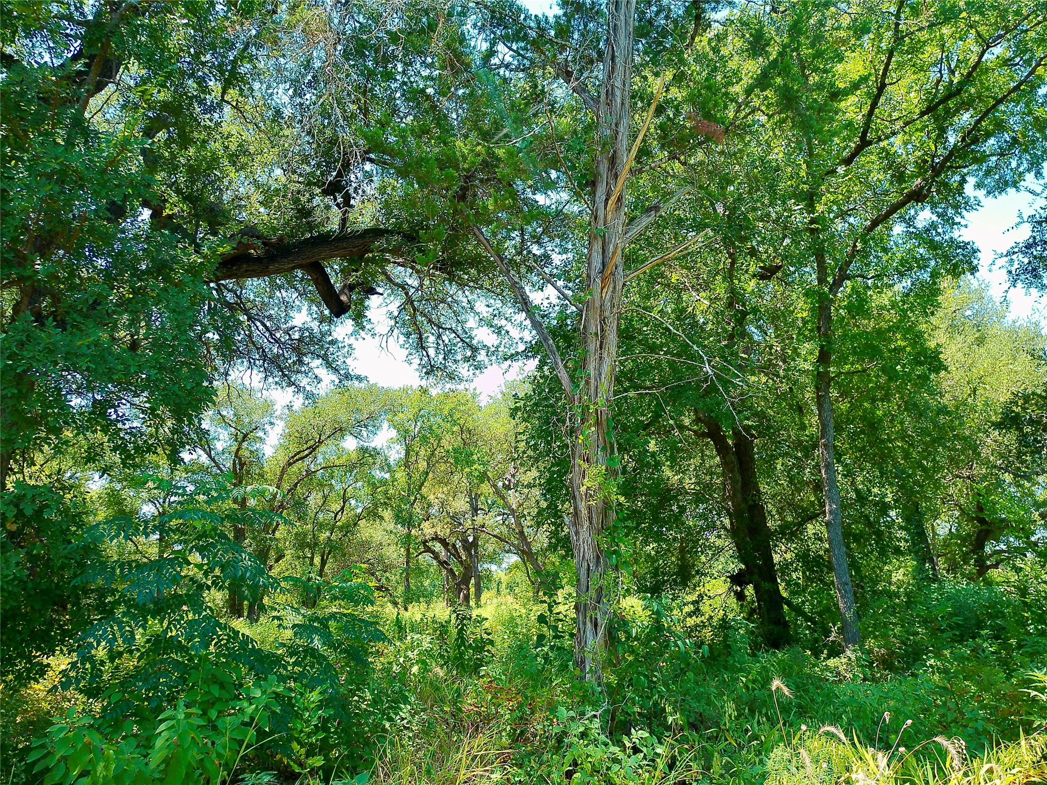 main property photo 27