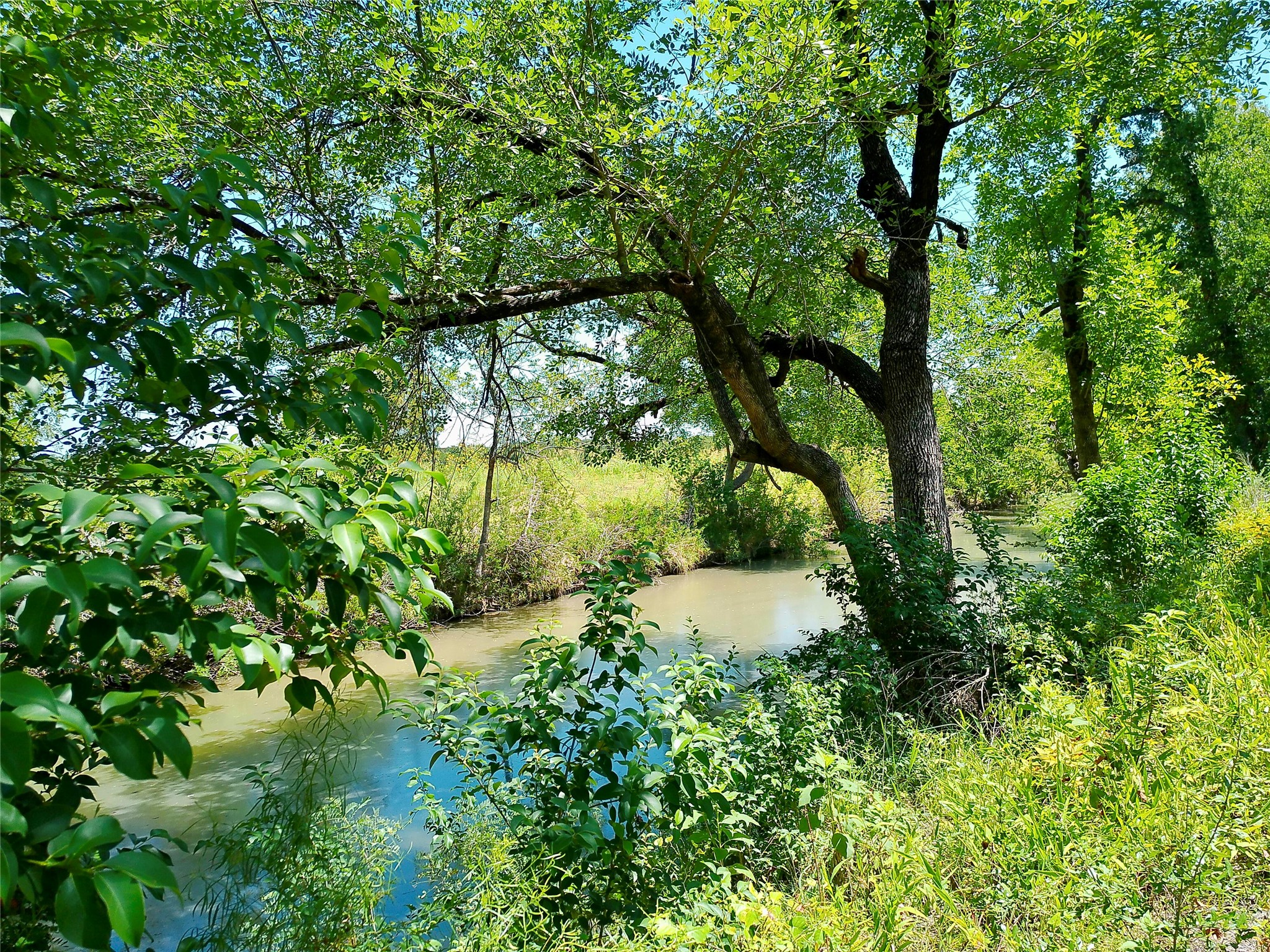 main property photo 31