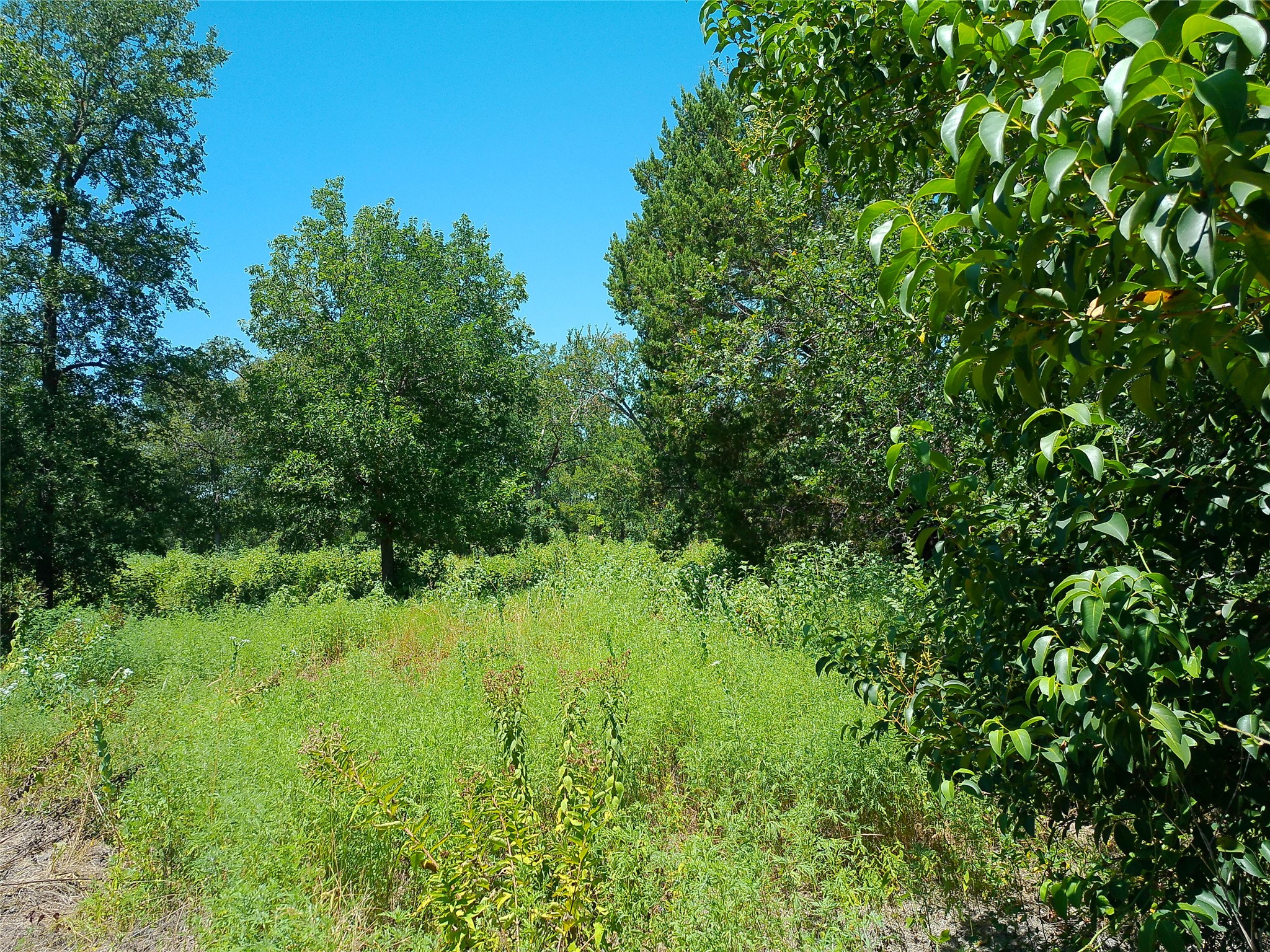 main property photo 4