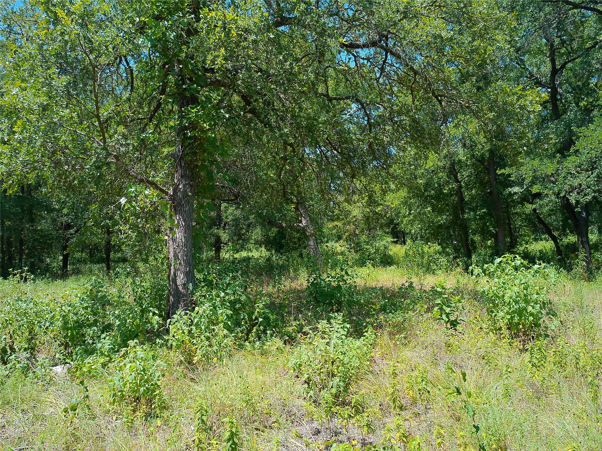 main property photo 6