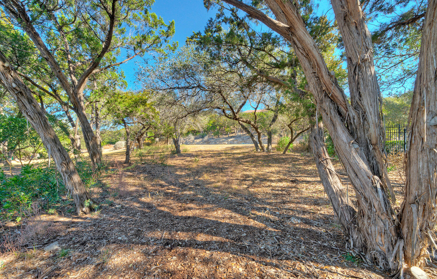main property photo 11